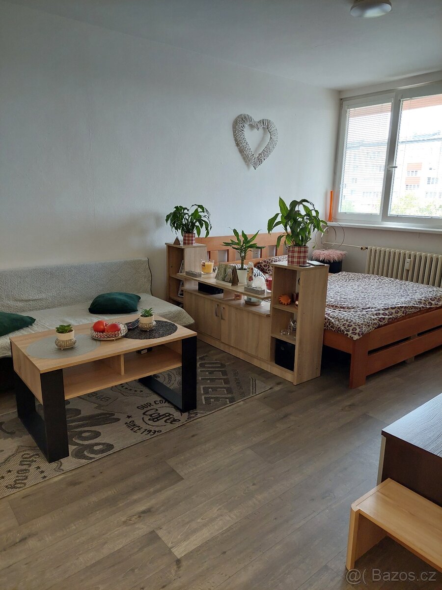 Pronájem bytu 1+kk Opava, Antonína Sovy