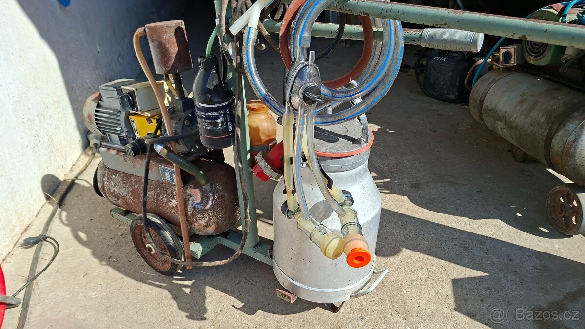 Dojíčka Ovce, kozy, krávy