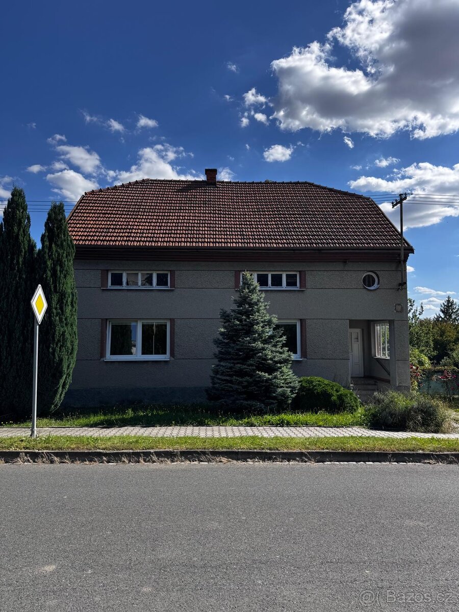 Cihla PP, Střešní tašky