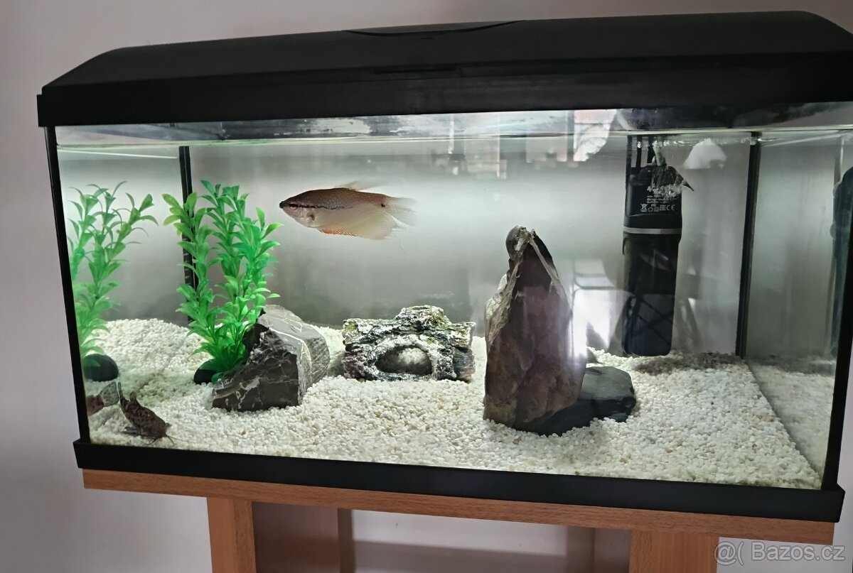 Akvárium set 54 l Cat-Gato set + akvarijní stolek