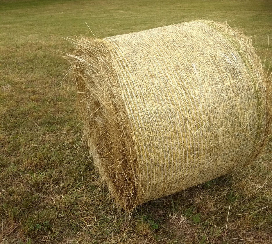 Seno - balíky 120cm