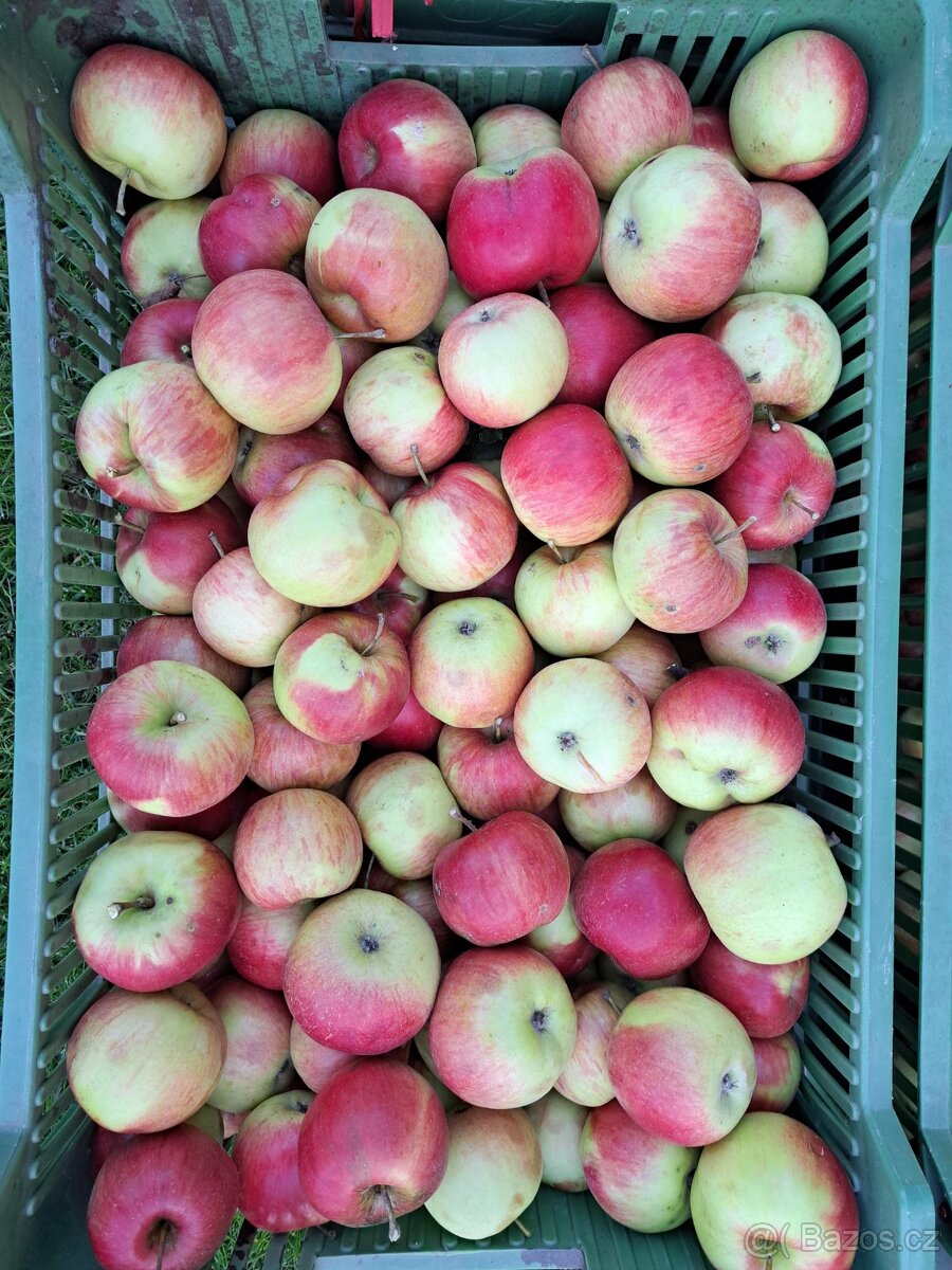 Jablka Idared