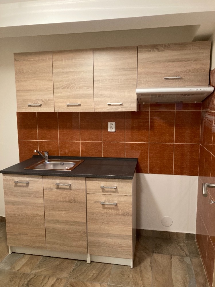 Pronájem ateliéru k bydlení 1+1, 25 m2
