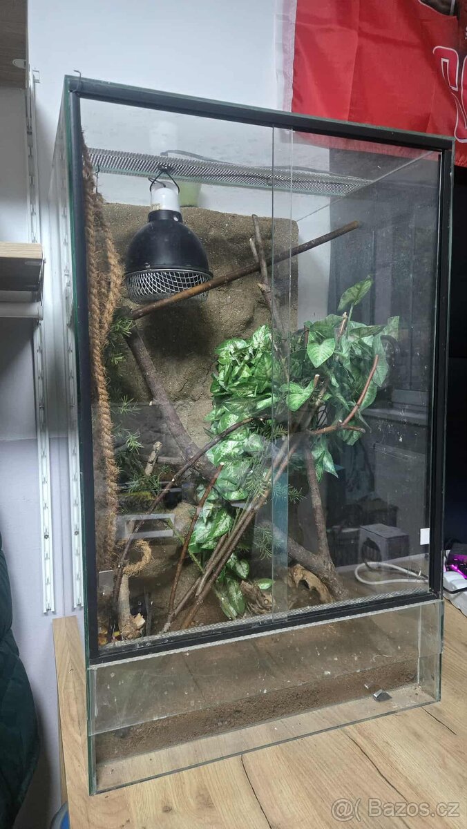 Prodám terárium