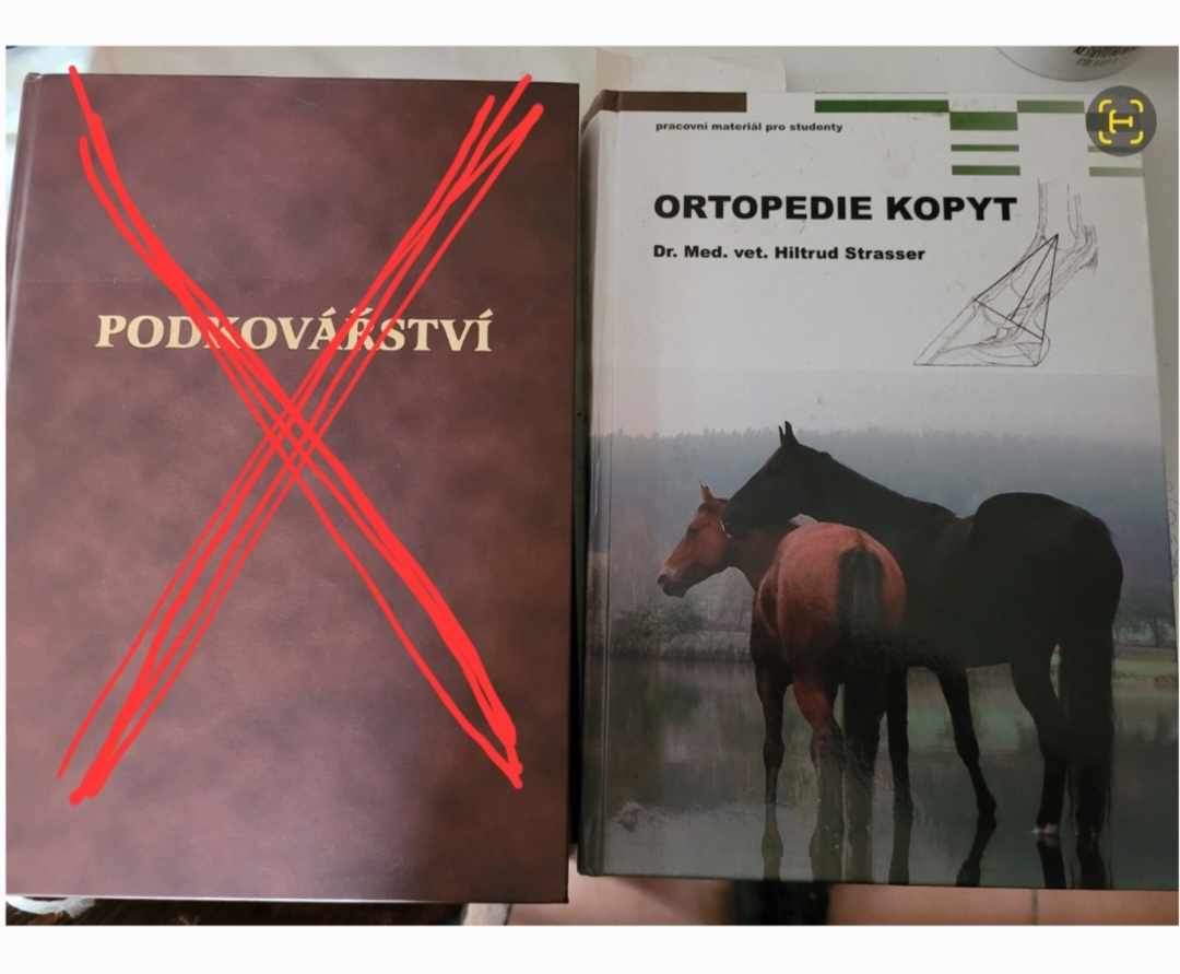 Prodám