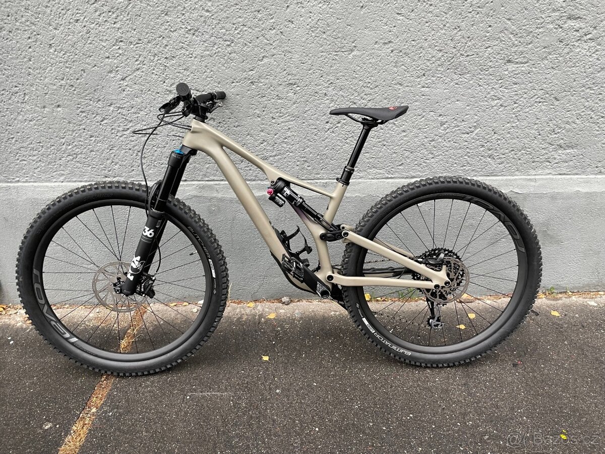 Specialized Stumpjumper Expert Carbon 29