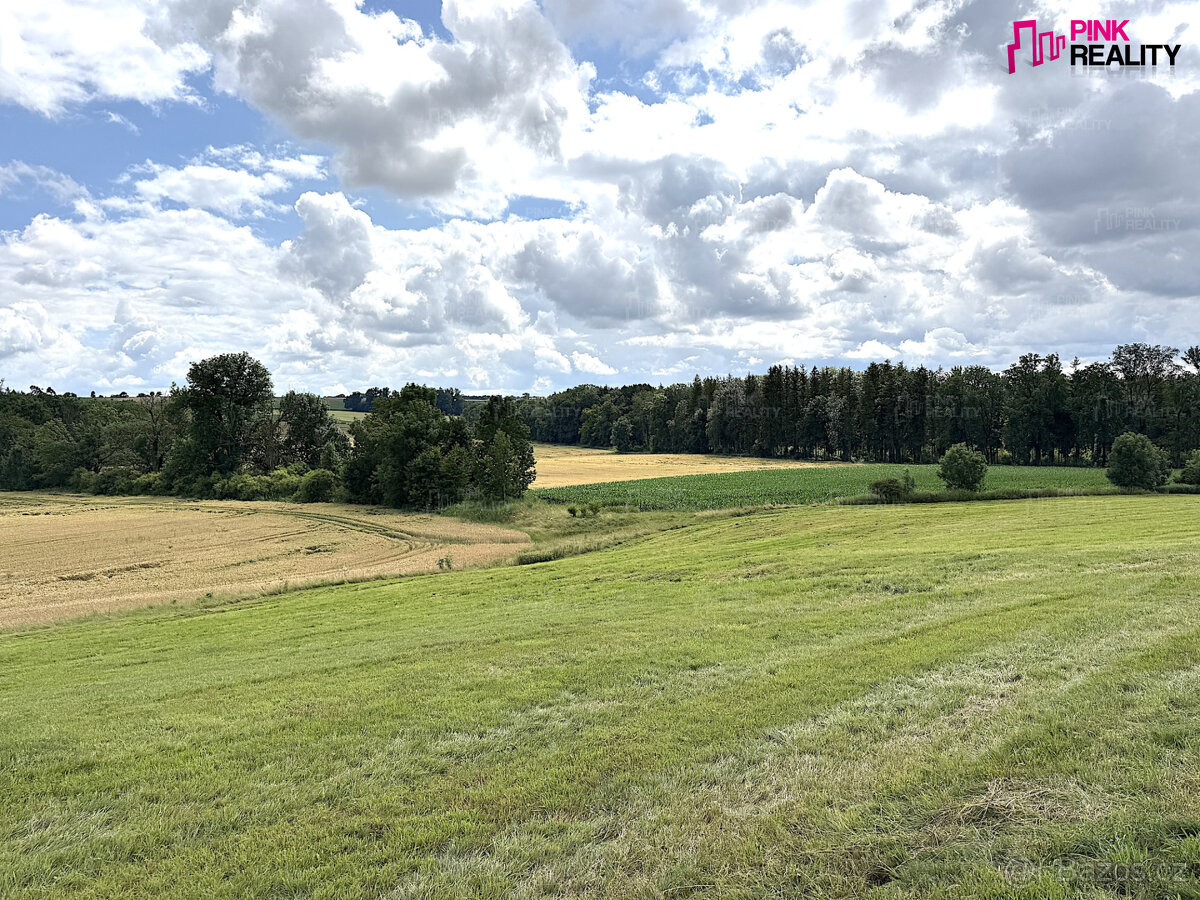 Zemědělské pozemky Rychnov nad Kněžnou - Lipovka