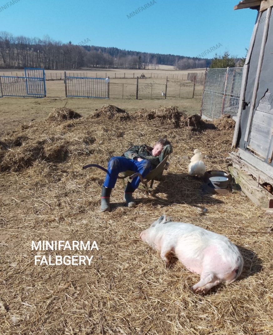 Hnůj ZDARMA