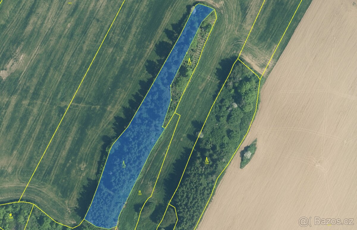 Prodám lesní pozemek v k.ú. Králova Lhota