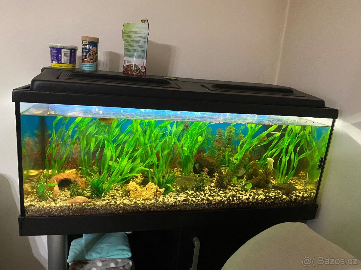 Akvarium