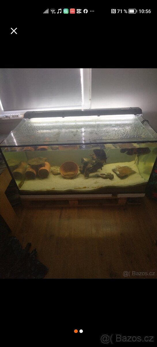 Akvarium 500l