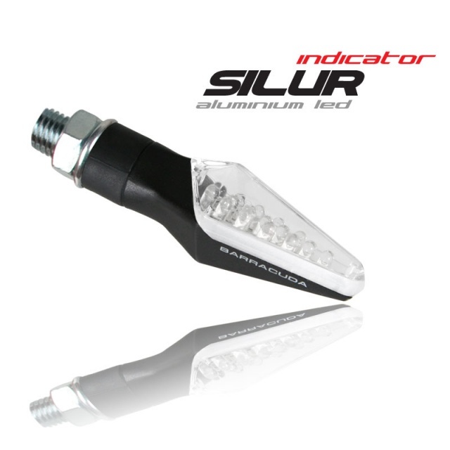 BARRACUDA SILUR