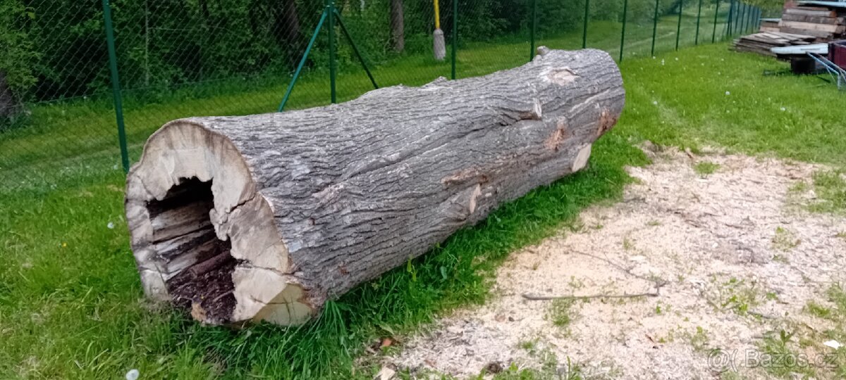 Klát Kmen Lípa Srdčitá