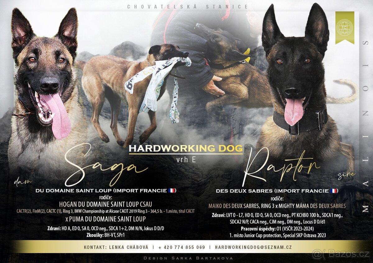 Belgický ovčák malinois
