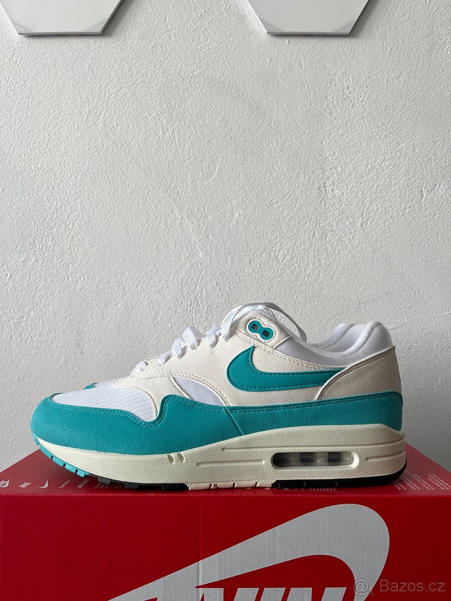 Nike Air Max 1 Dusty Cactus- 42,5 | 43