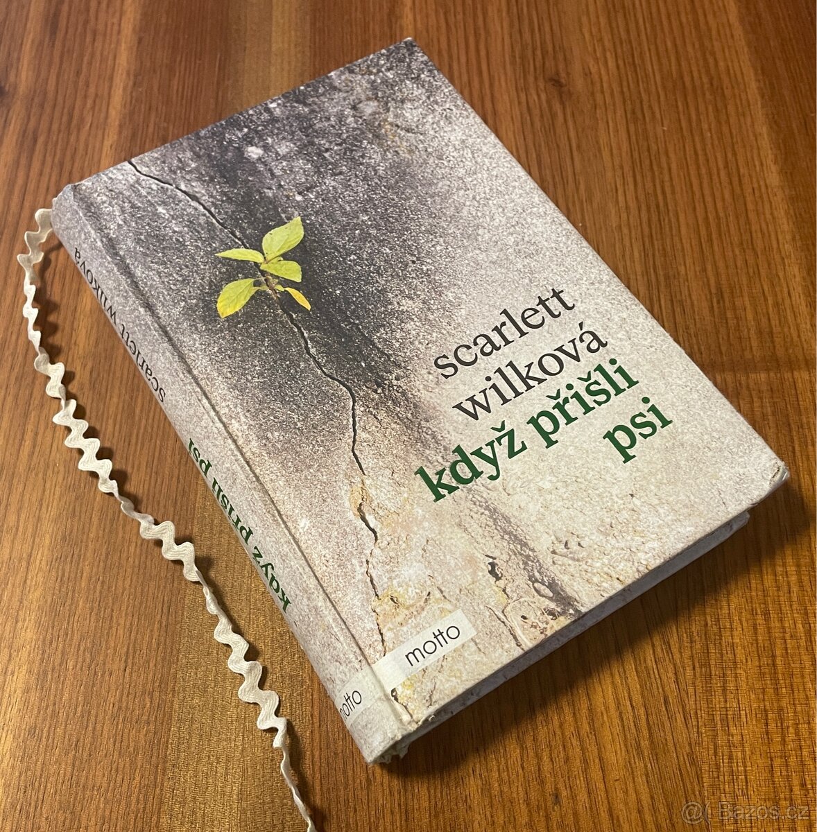 Wilková, Scarlett - Když přišli psi (2024)