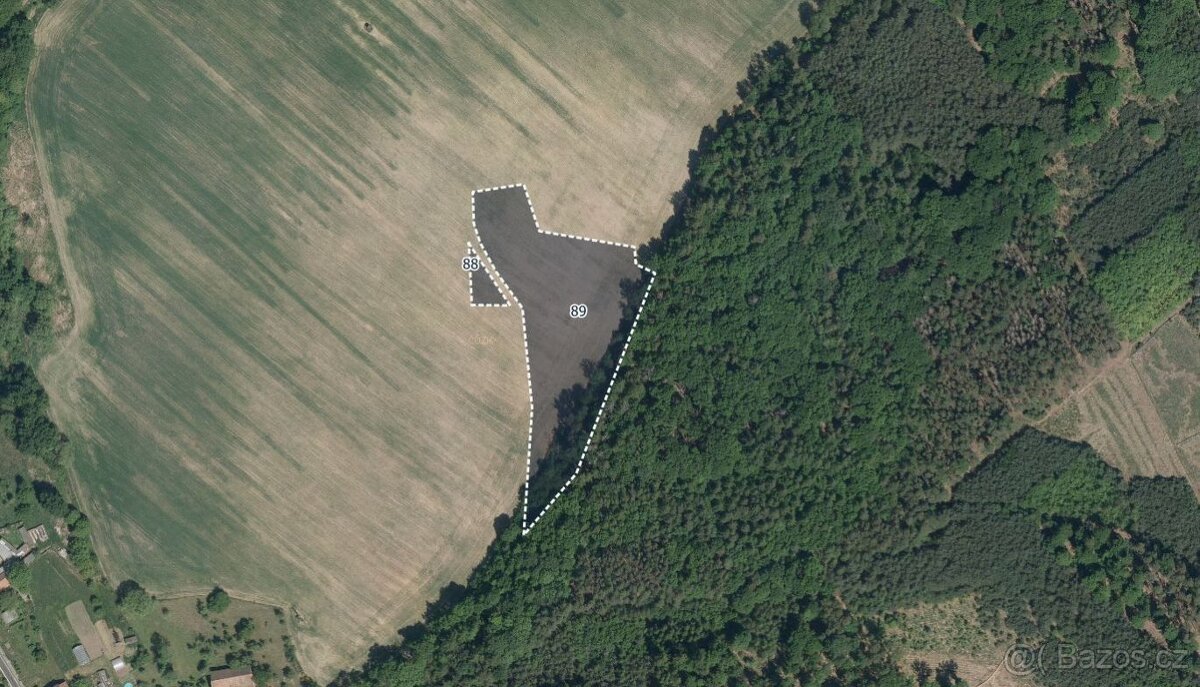 Zemědělská půda, prodej, Morašice, Pardubice