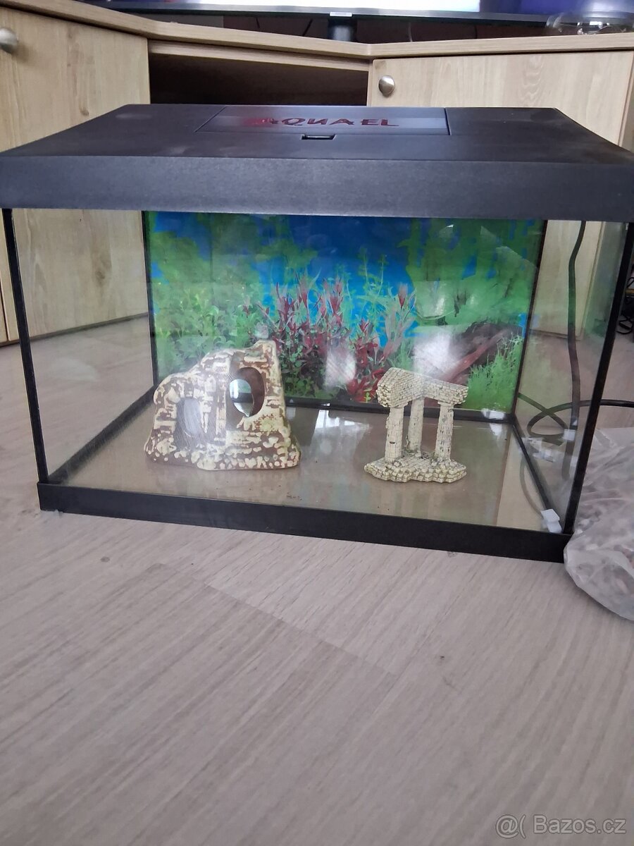Akvárium