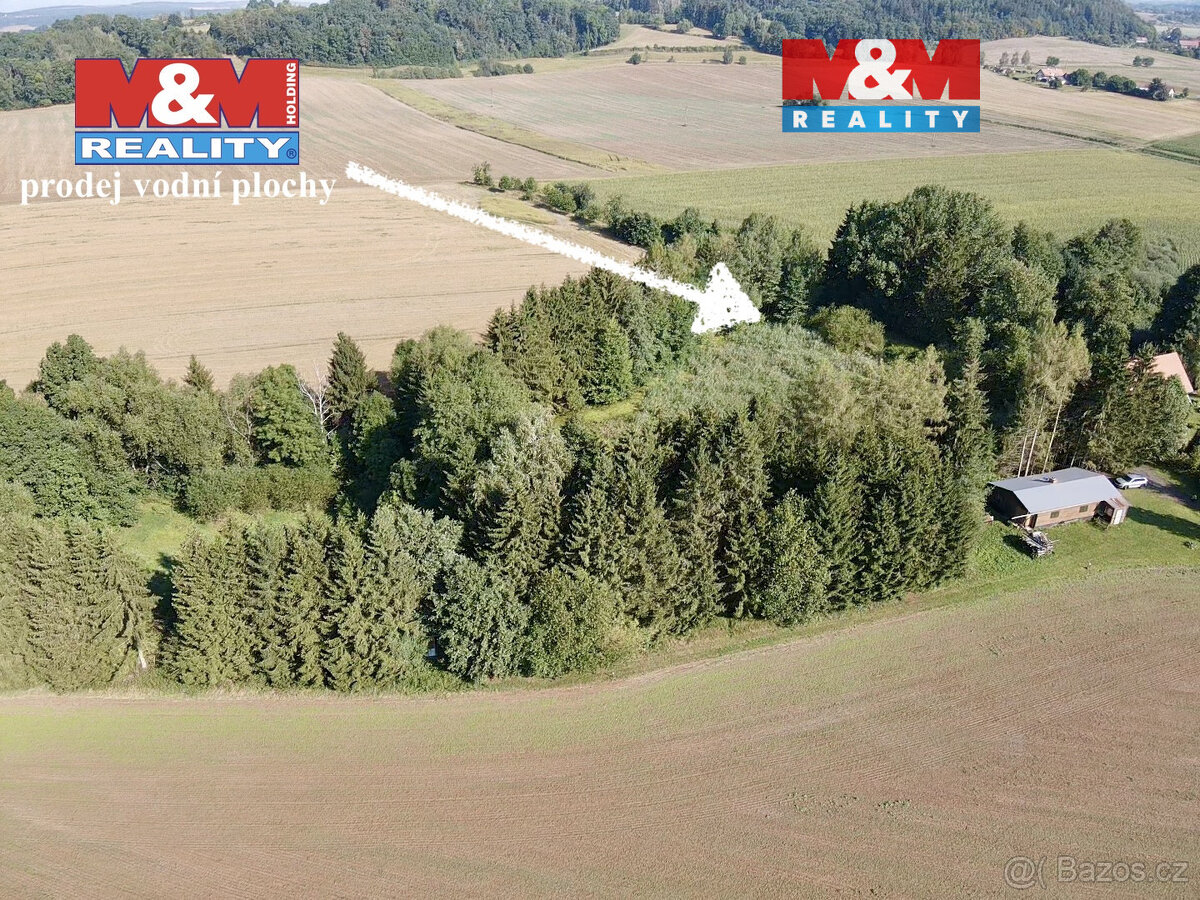 Prodej vodní plochy, 5965 m², Rychnov nad Kněžnou