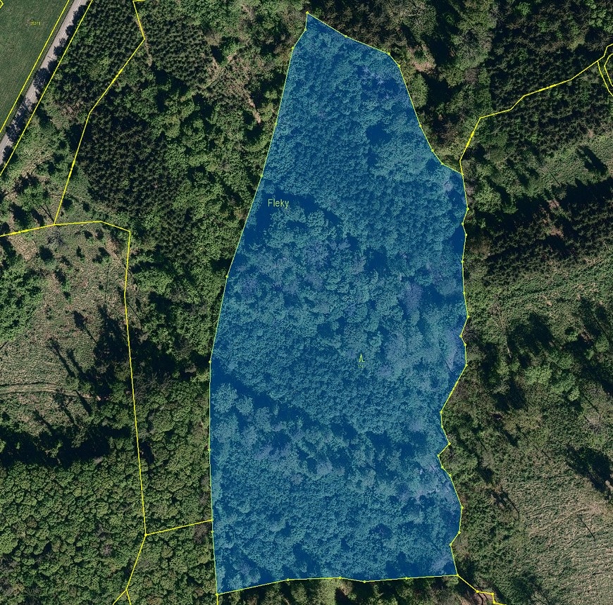 Prodej nevytěženého lesa u Luhačovic - 3,25 ha