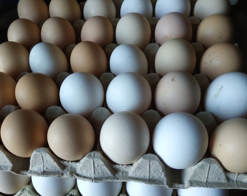 Domácí vajíčka
