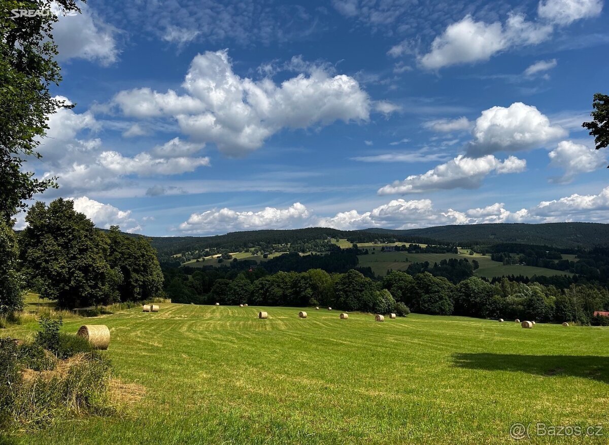 Stavební pozemek Říčky v Orlických horách 13380 m2