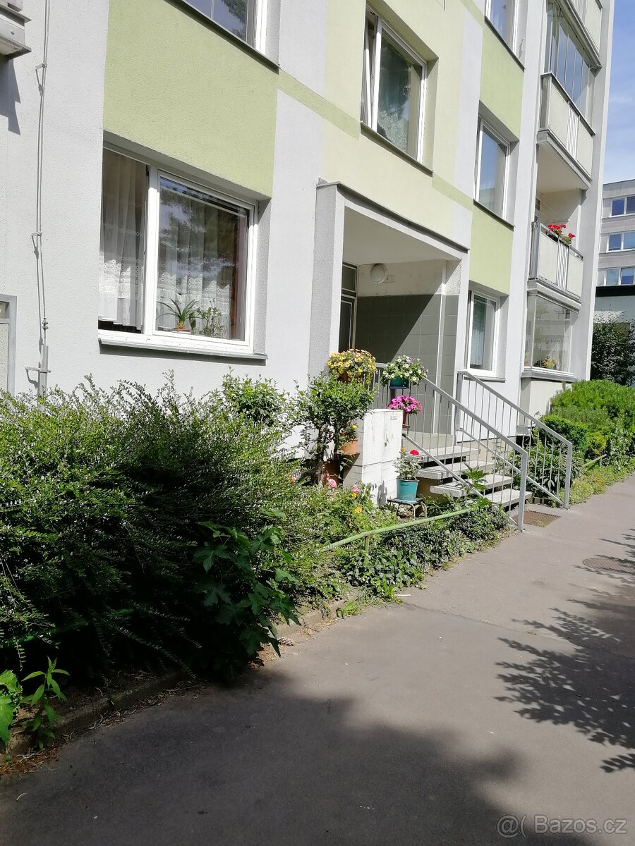 Byt 2+1 v centru Děčína