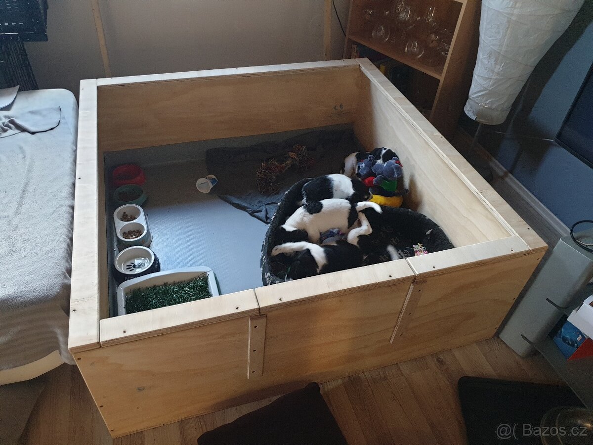 Porodní box, bedna