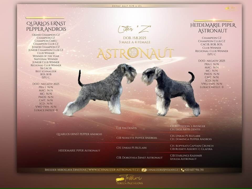 Knírač malý pepř a sůl