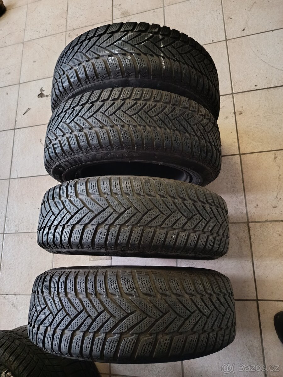 Zimní Dunlop 195/65R15 91T