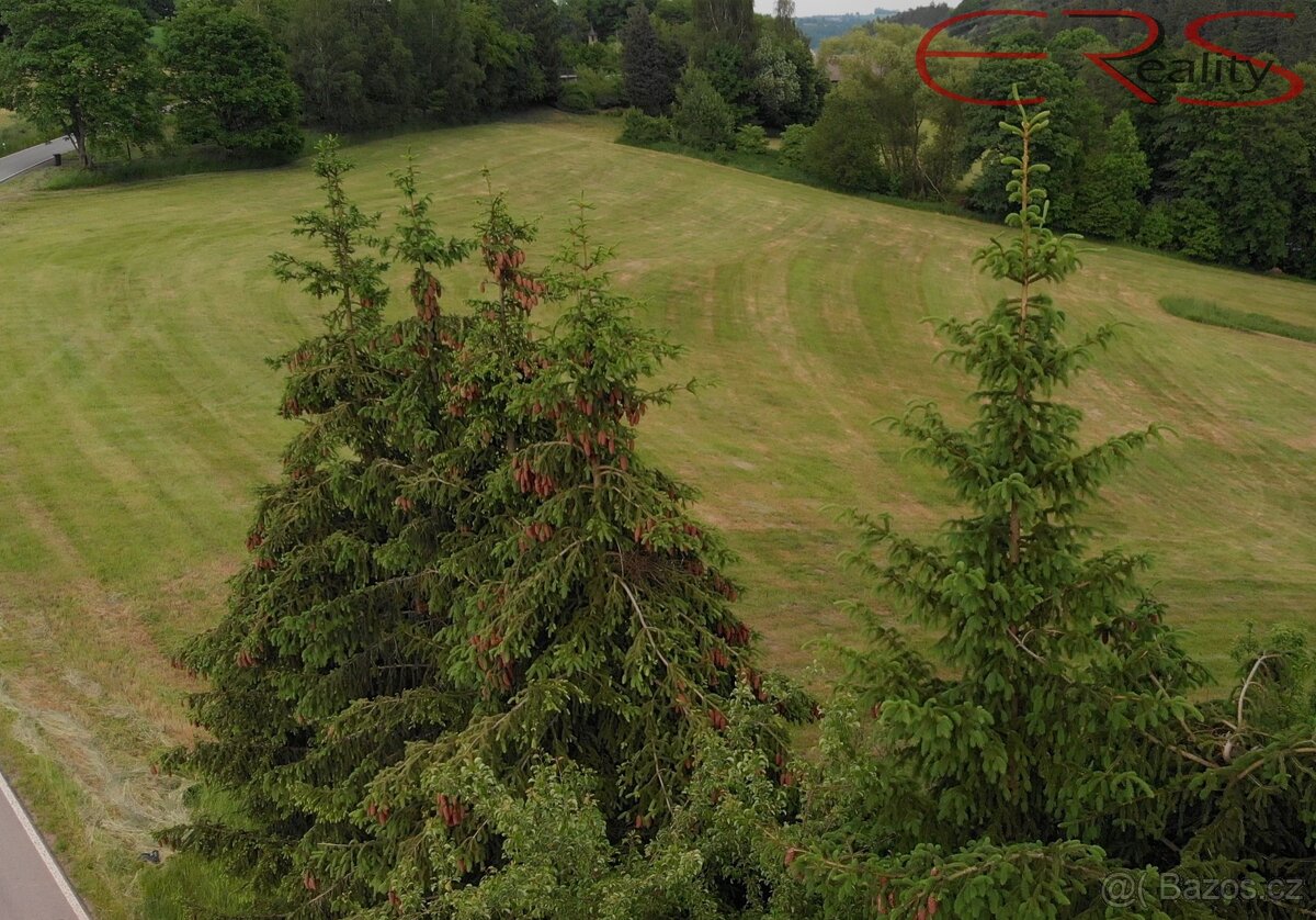 Stavební pozemek 2968 m2 - Slaná - Hořensko, okr. Semily