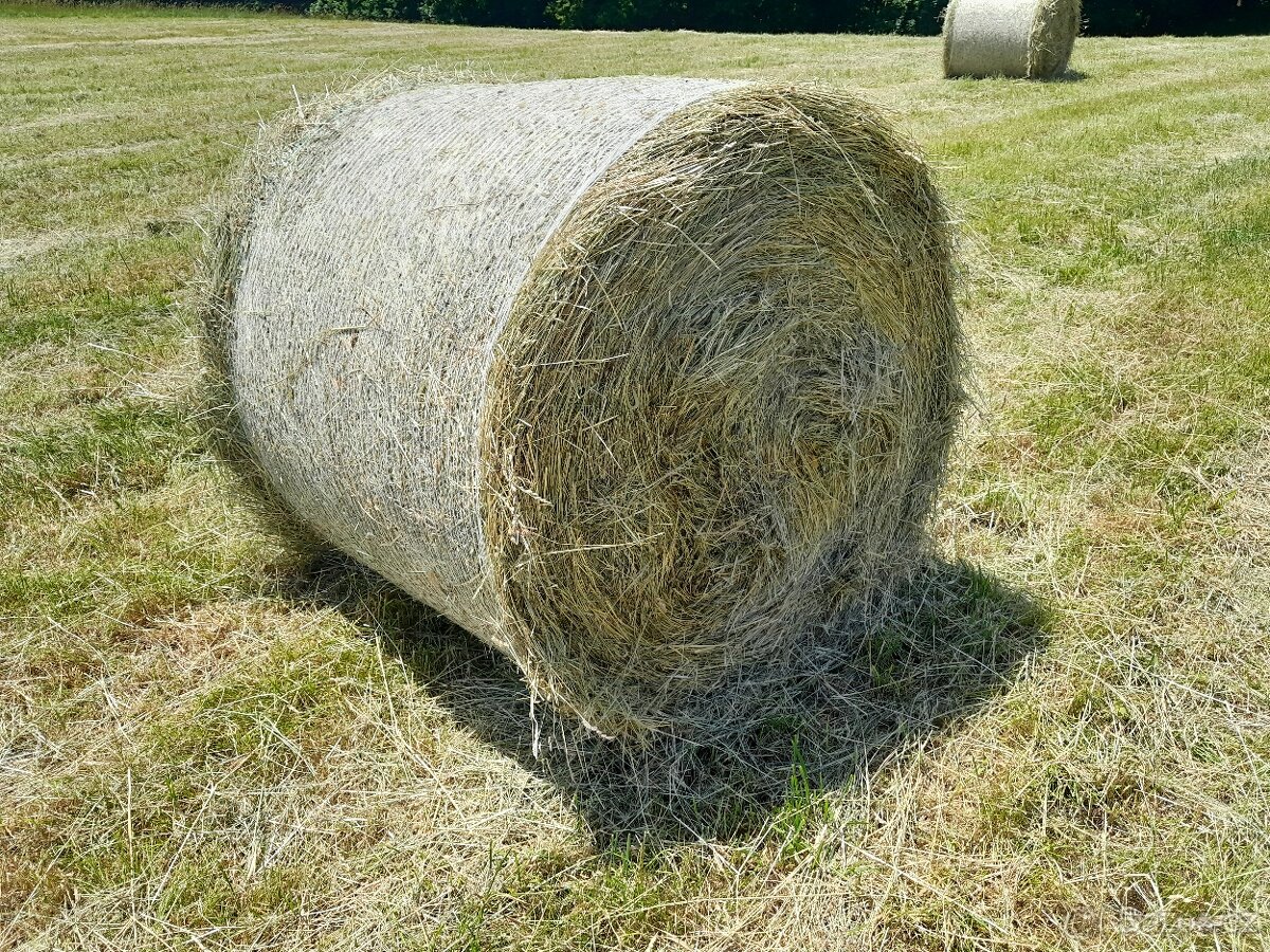 seno kulatý balík
