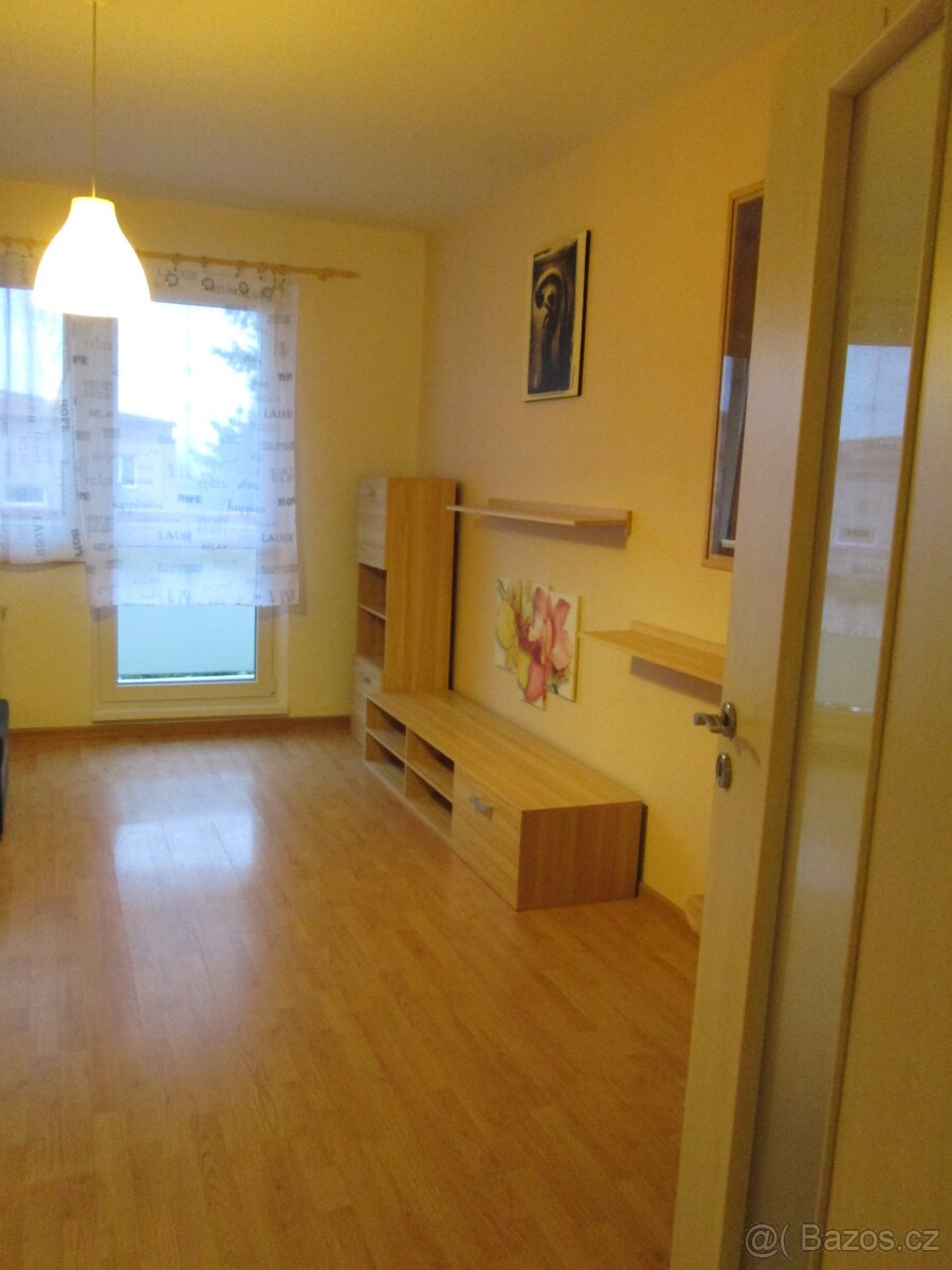 2+1 s novou lodžií v Uh. Brodě, bez RK - bez provize