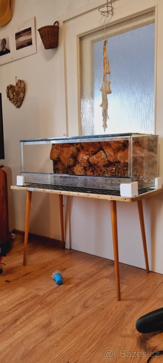XXL terárium 100 cm v Top Stavu