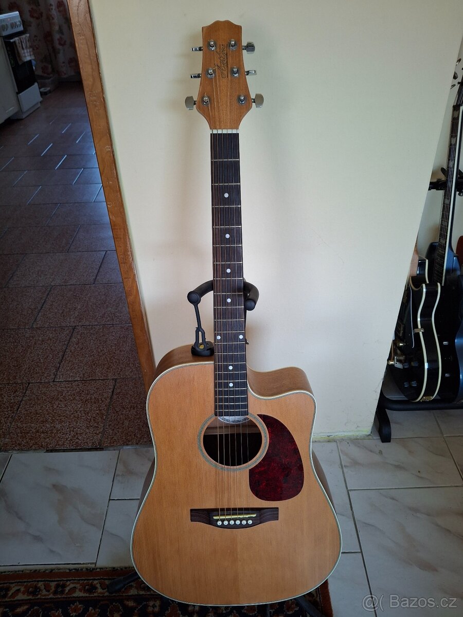 Prodám kytaru Ashton D46 polomasiv