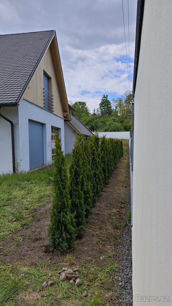 🌲 Thuje, tuje z Krkonoš až k vám domů – rozvoz po celé ČR