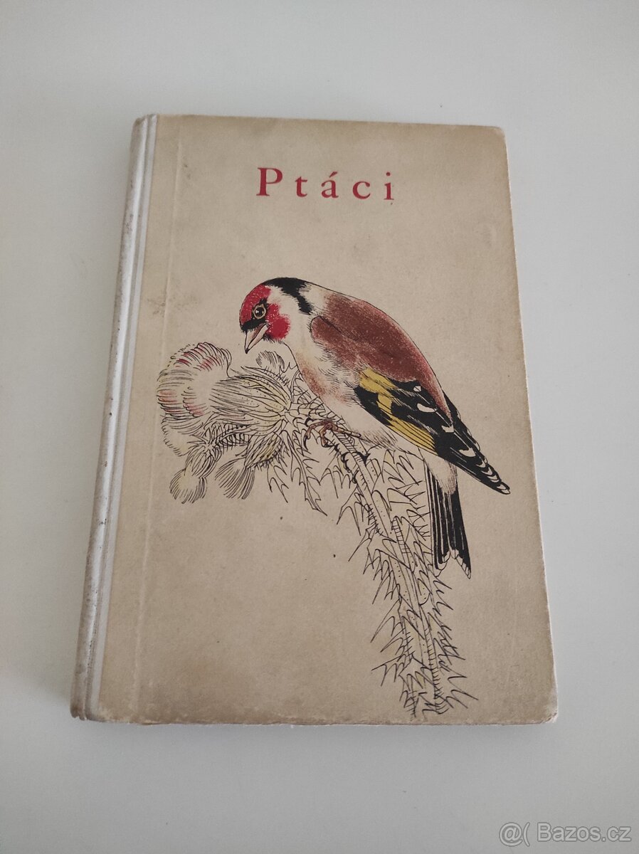 Ptáci