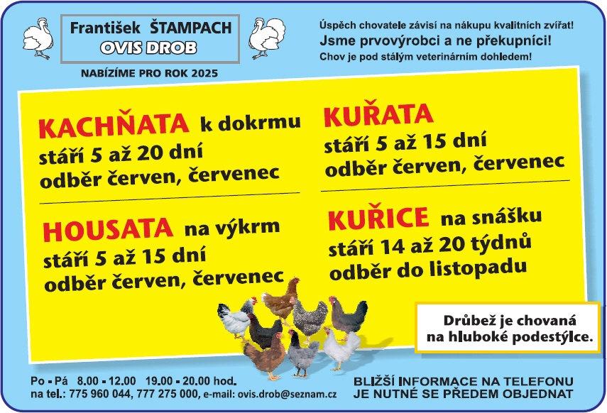 Nabízíme k odběru kuřice, kachňata, ,housata, kuřata.