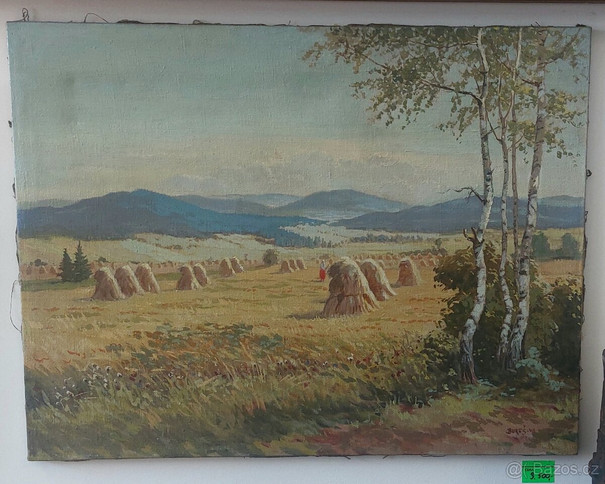 Obraz plátno Žně - Bureš 48