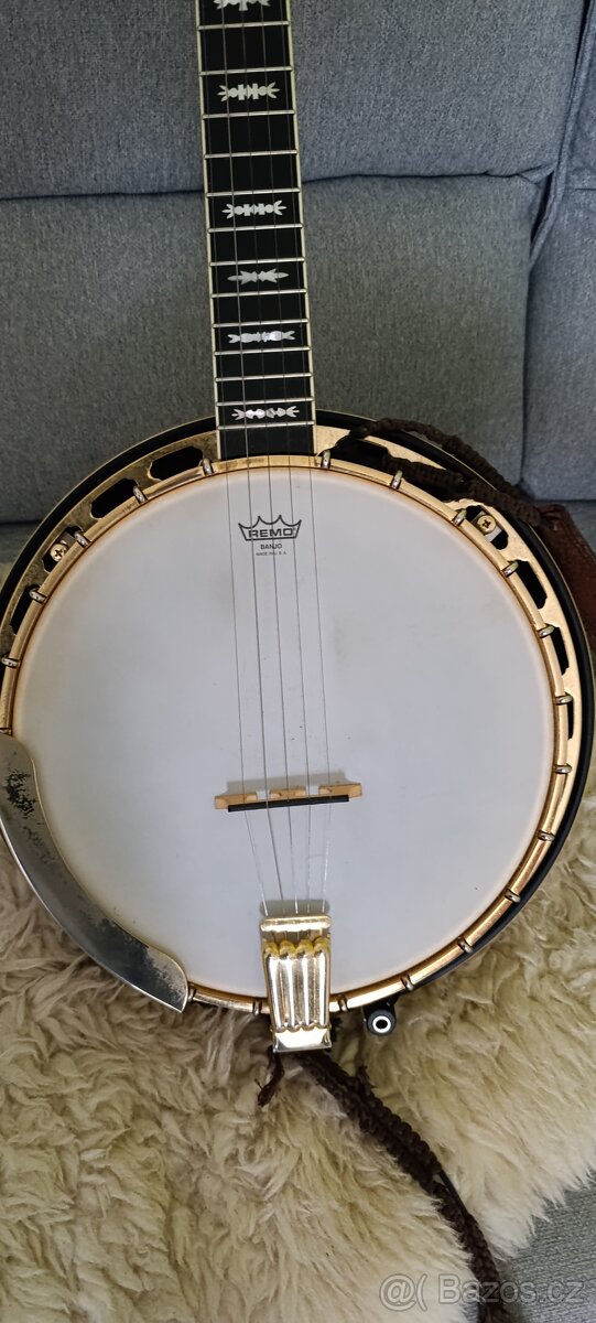 Pětistrunné banjo Fendr