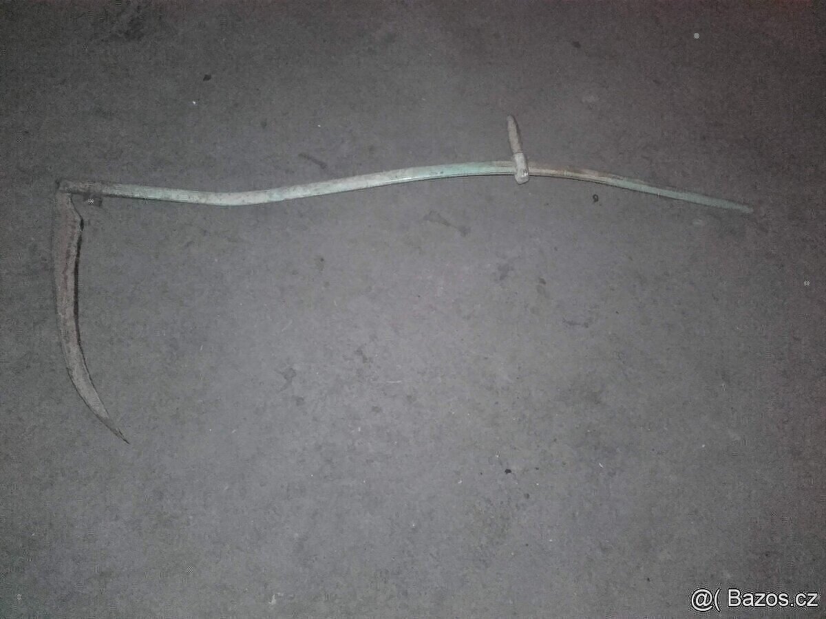 Stara kosa