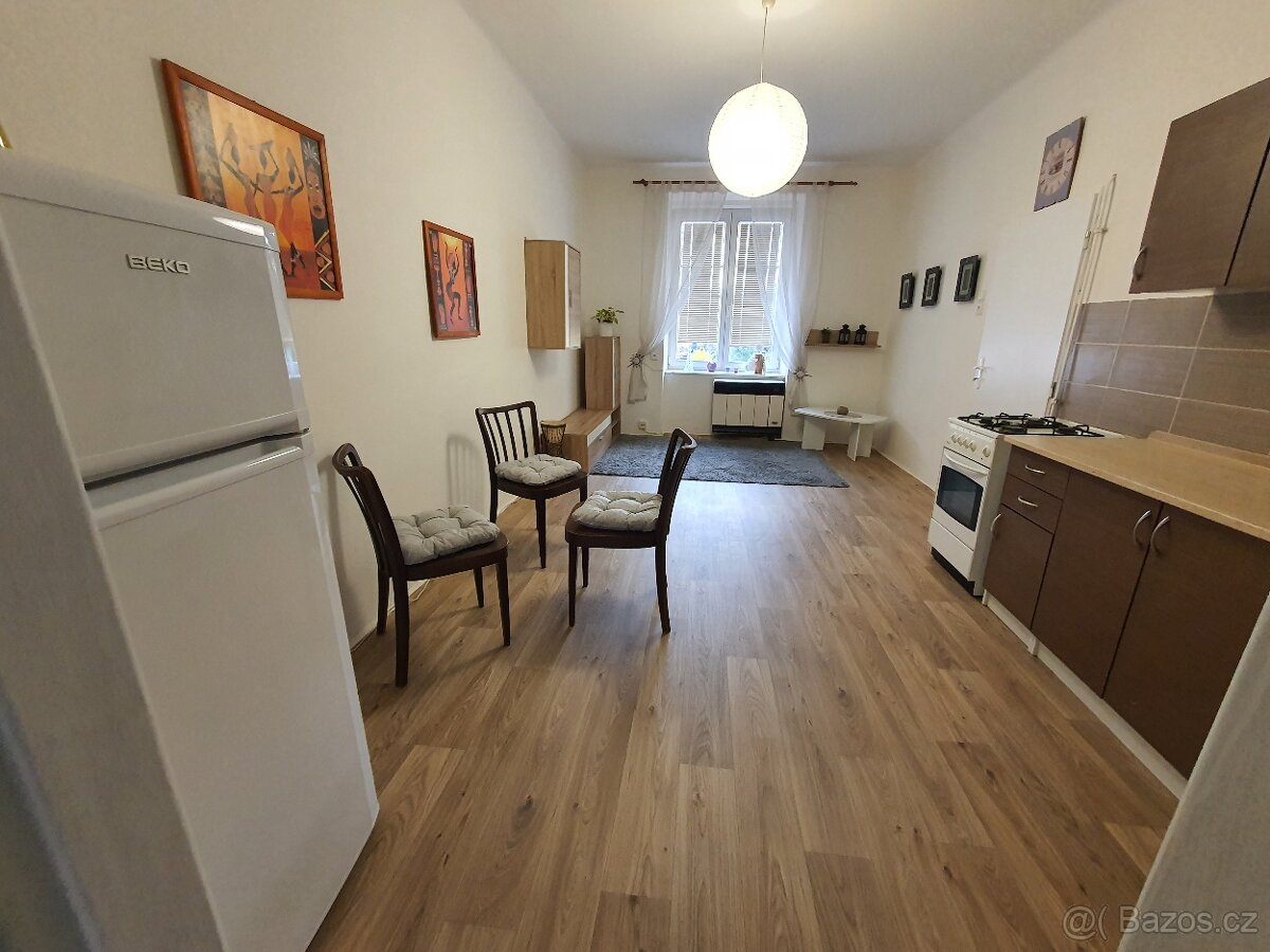 2+kk Sladkovského, Plzeň za 14.500 Kč