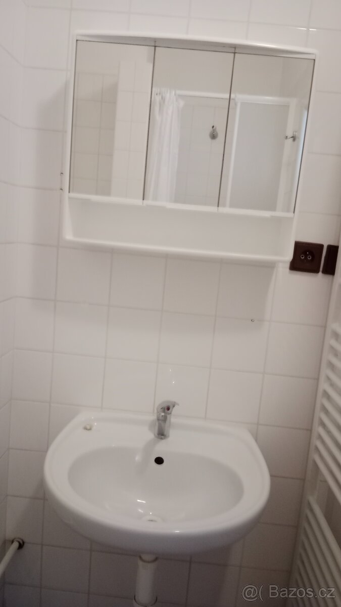 Pronajmu byt 1+1