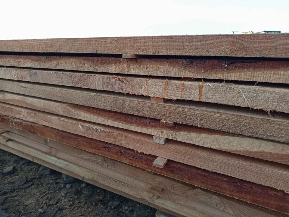 Řezivo modřín, dub , jasan, akát, buk, borovice