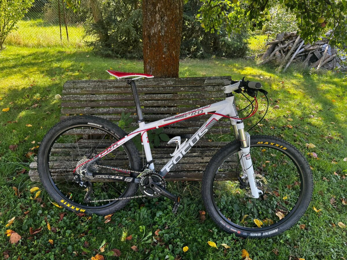 Focus Black Forest PRO 26