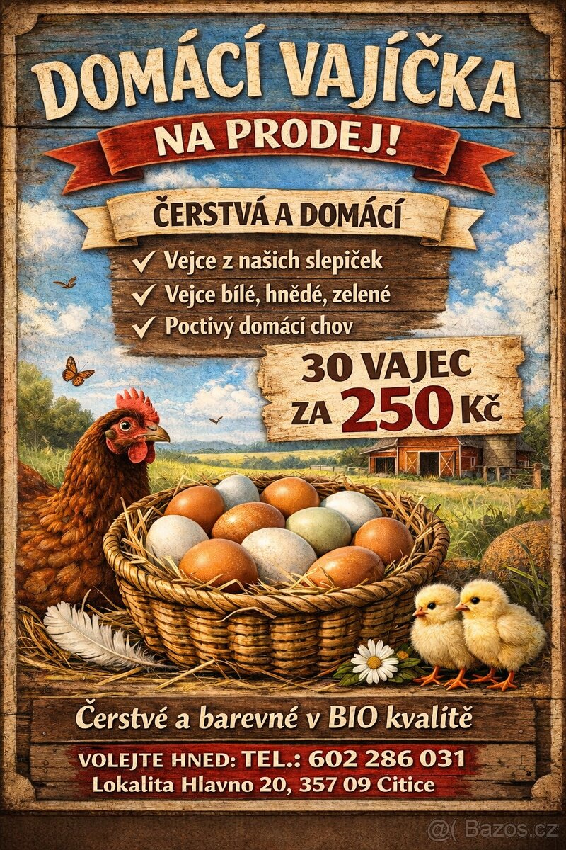 Čerstvá domácí vejce 🥚