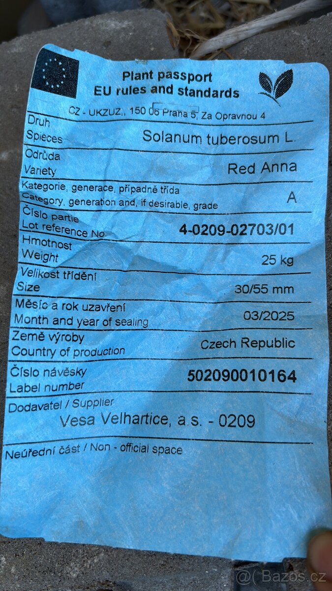 Sadbové brambory Red Anna