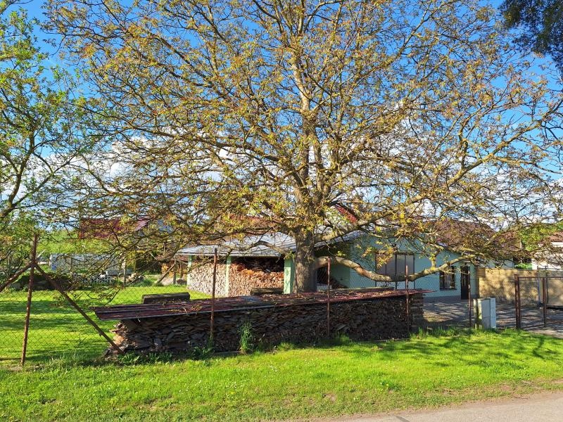 Rodinný dům 216 m², pozemek 388 m²_Rožnov/Jaroměř