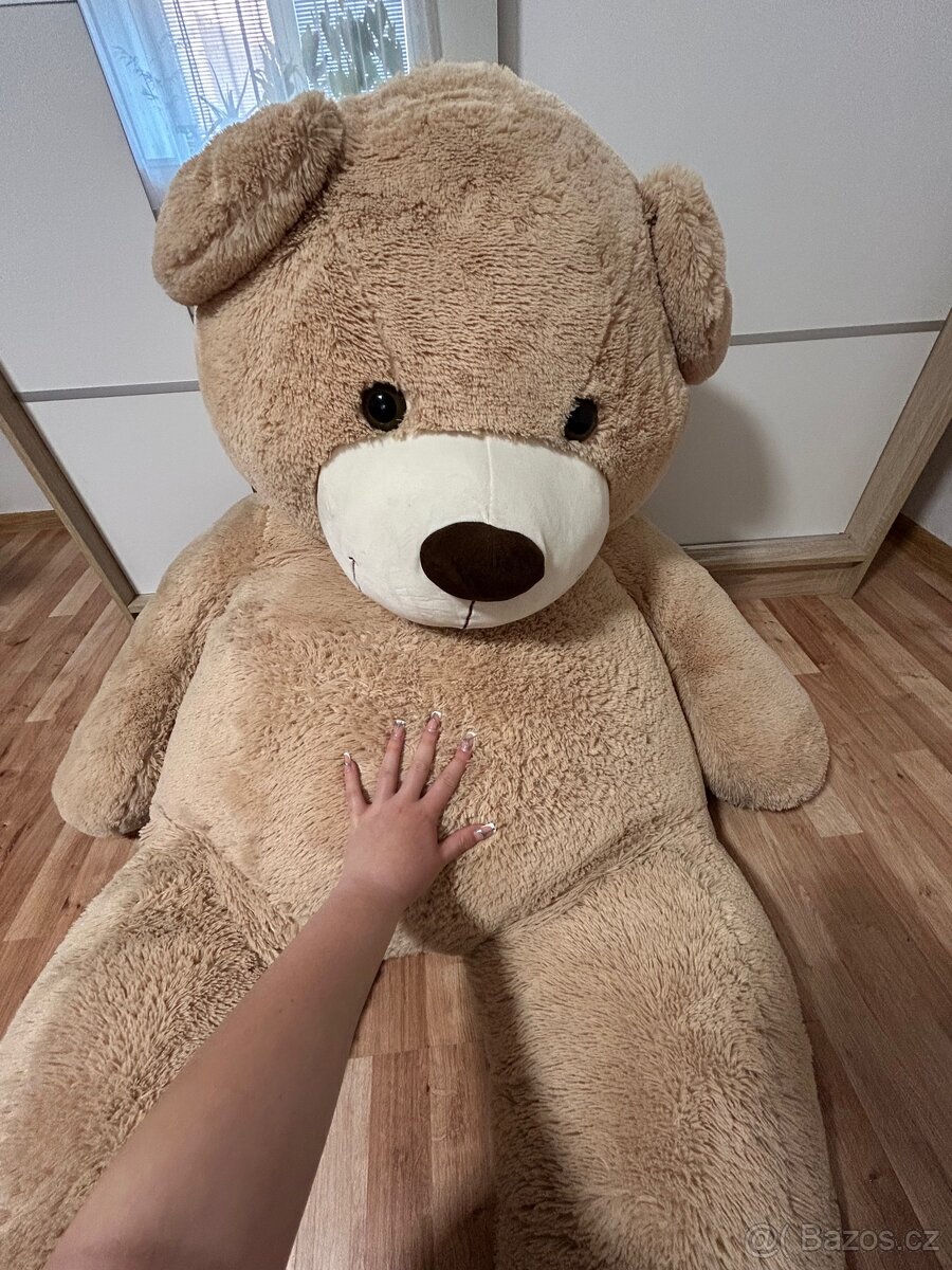 Plyšový medvěd