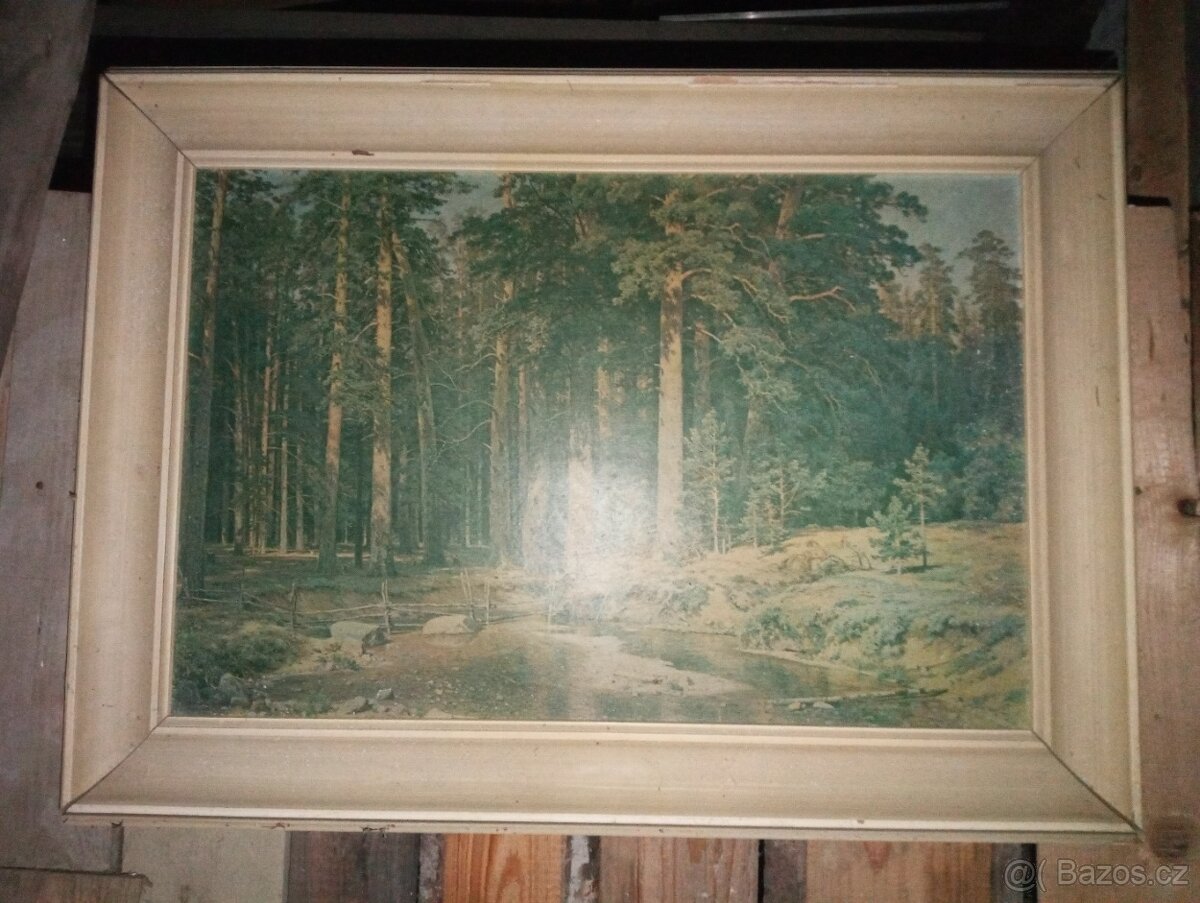 Lesní krajina
